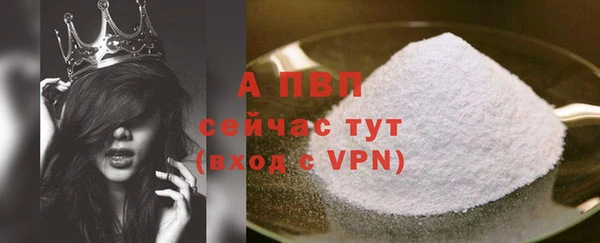 спиды Каменка