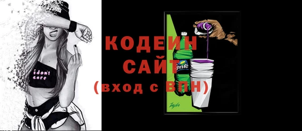 спиды Каменка