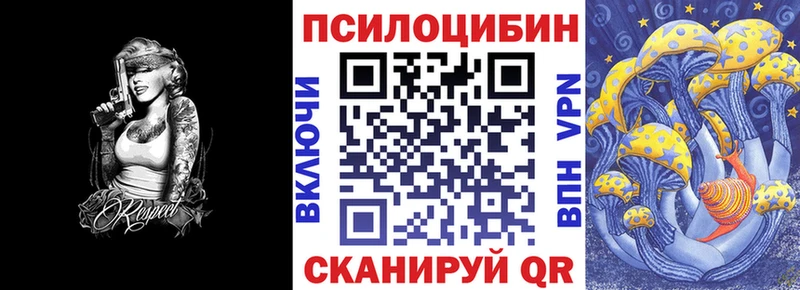Псилоцибиновые грибы мицелий  Купить  Гудермес 